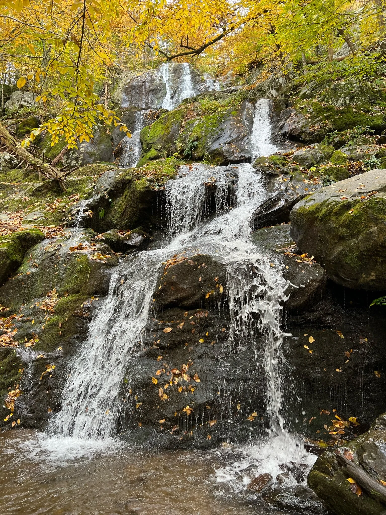 Four Days of Hiking in Shenandoah