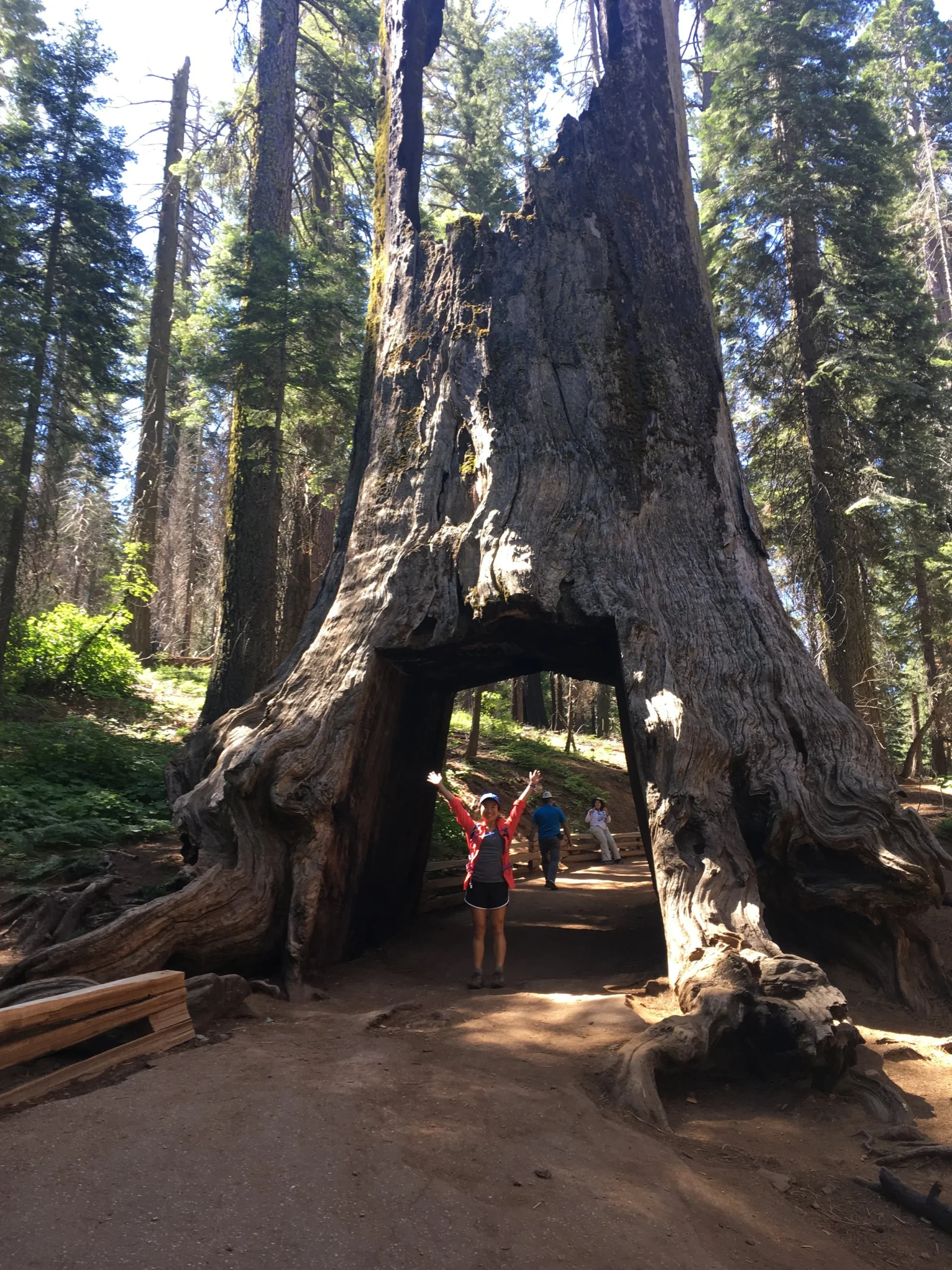 Hike Yosemite: Bridalveil Fall and Toulumne Meadows