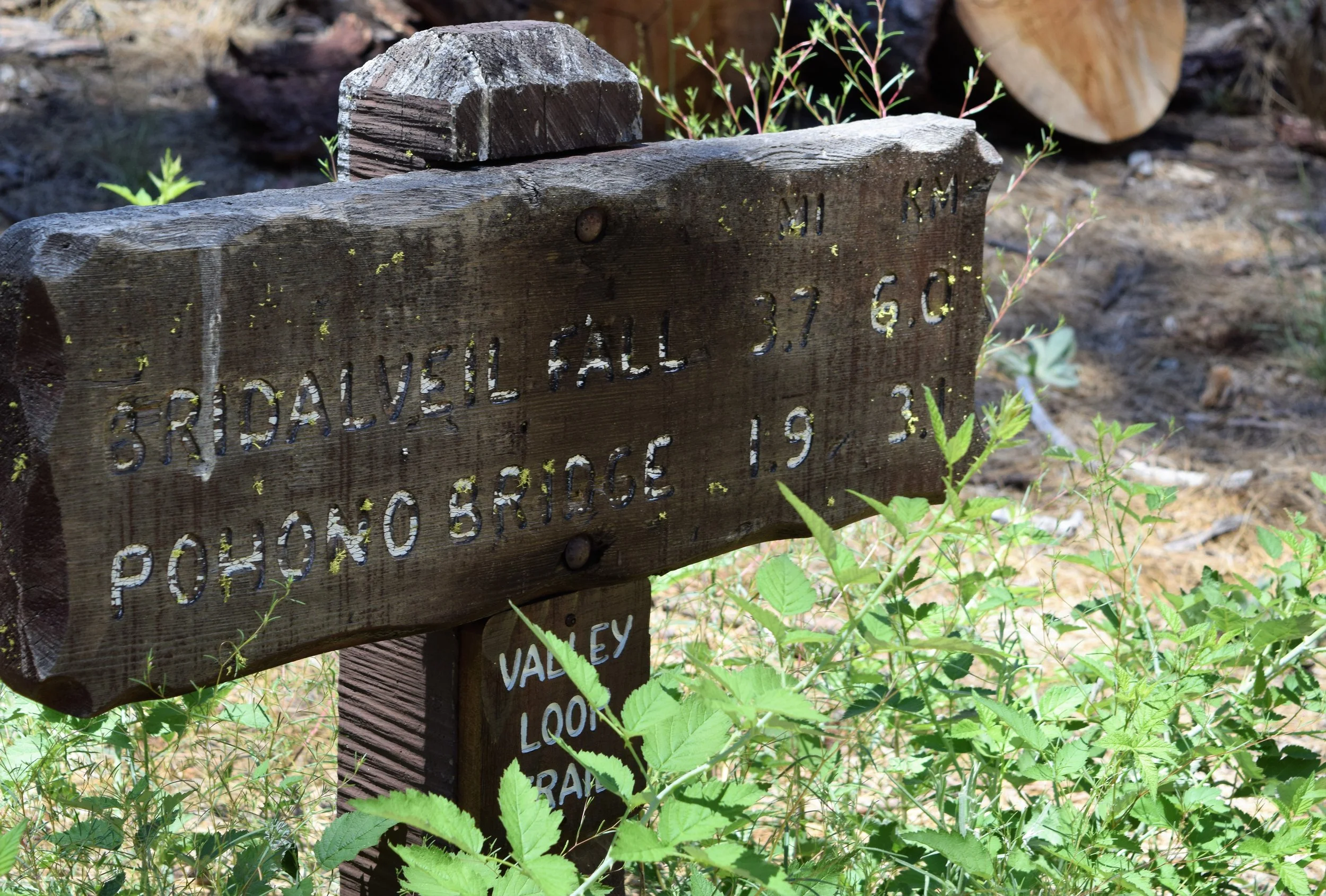 Hike Yosemite: Valley Loop Trail